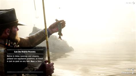 rdr2 succulent fish meat|RDR2: Every Type of Meat (& How To Get Them) .